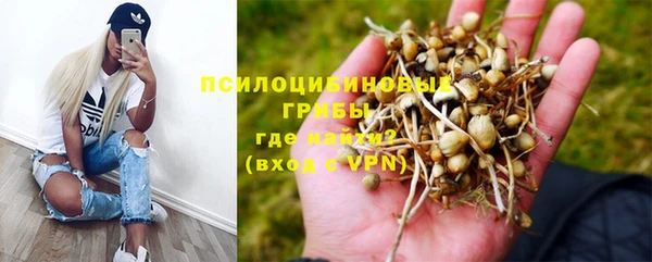 прущая мука Яровое