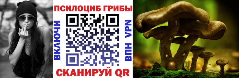 блэк спрут вход  Лосино-Петровский  Галлюциногенные грибы Magic Shrooms 